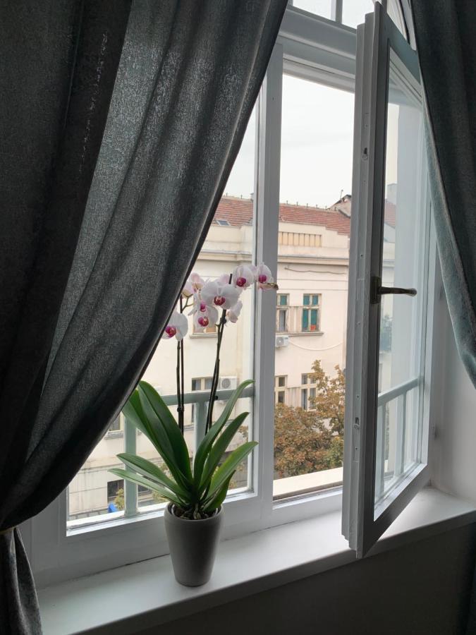 Dragonfly Residence Beograd Eksteriør bilde
